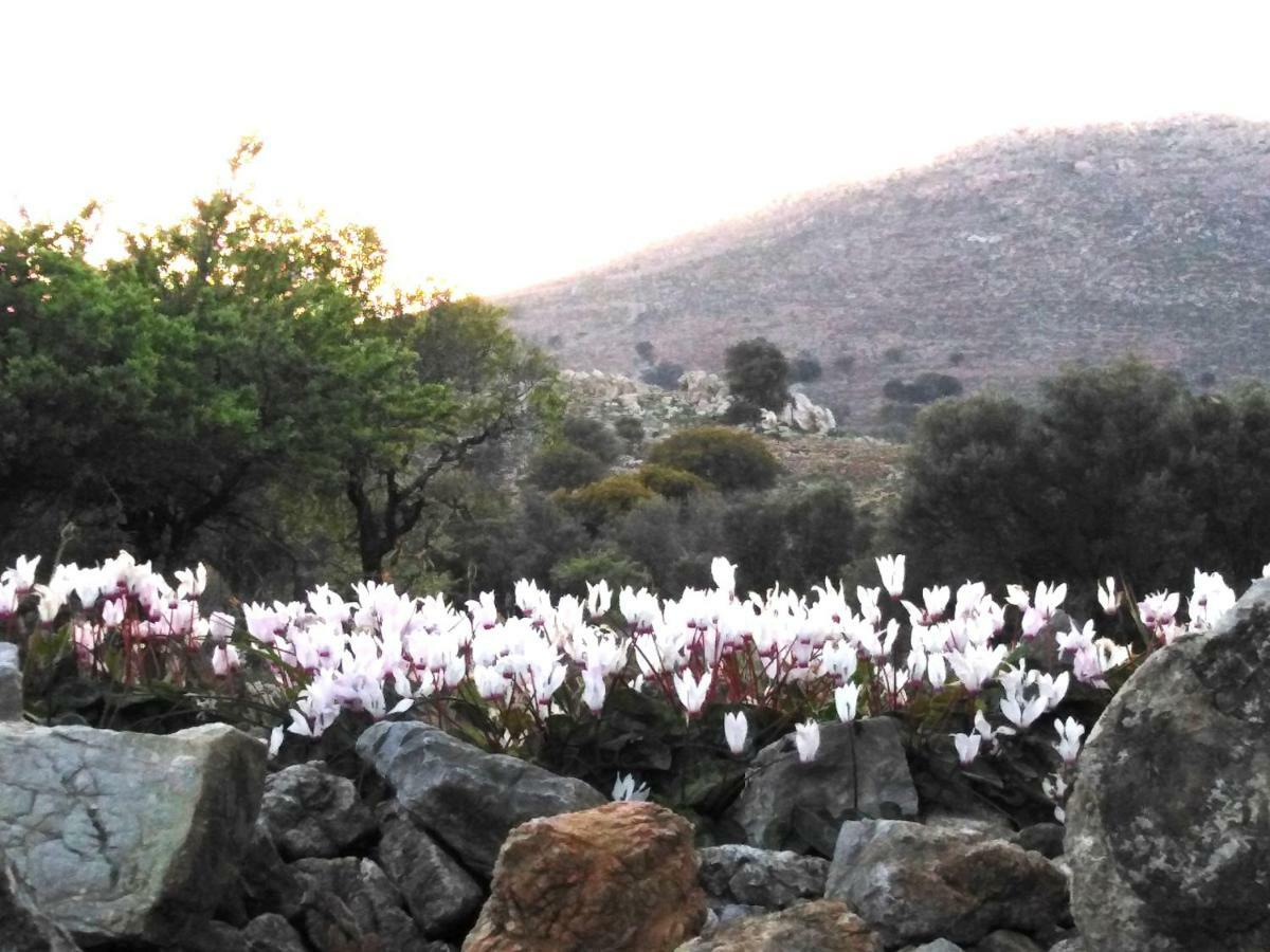 Tilos Island House Villa Megálon Choríon Esterno foto