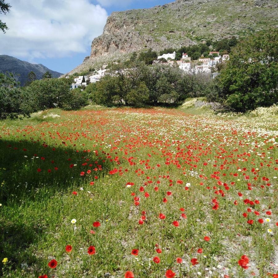 Tilos Island House Villa Megálon Choríon Esterno foto